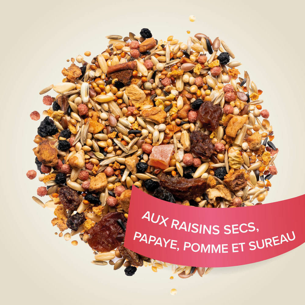 Fruit Mix 150 Beaphar ( 150g )
