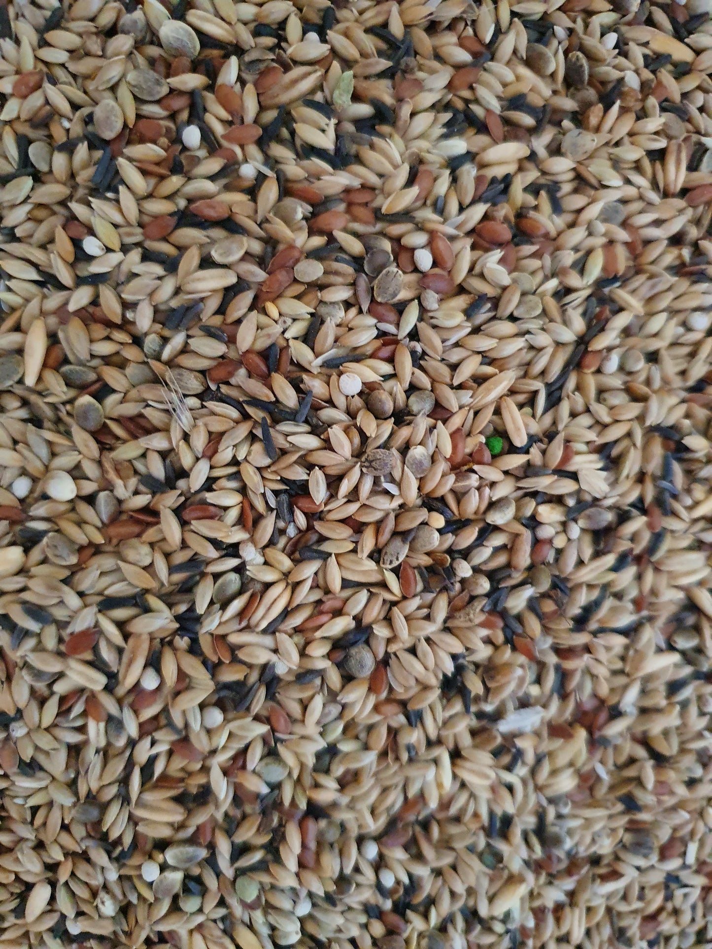 Kanarie Suprème 20kg - met witte perilla