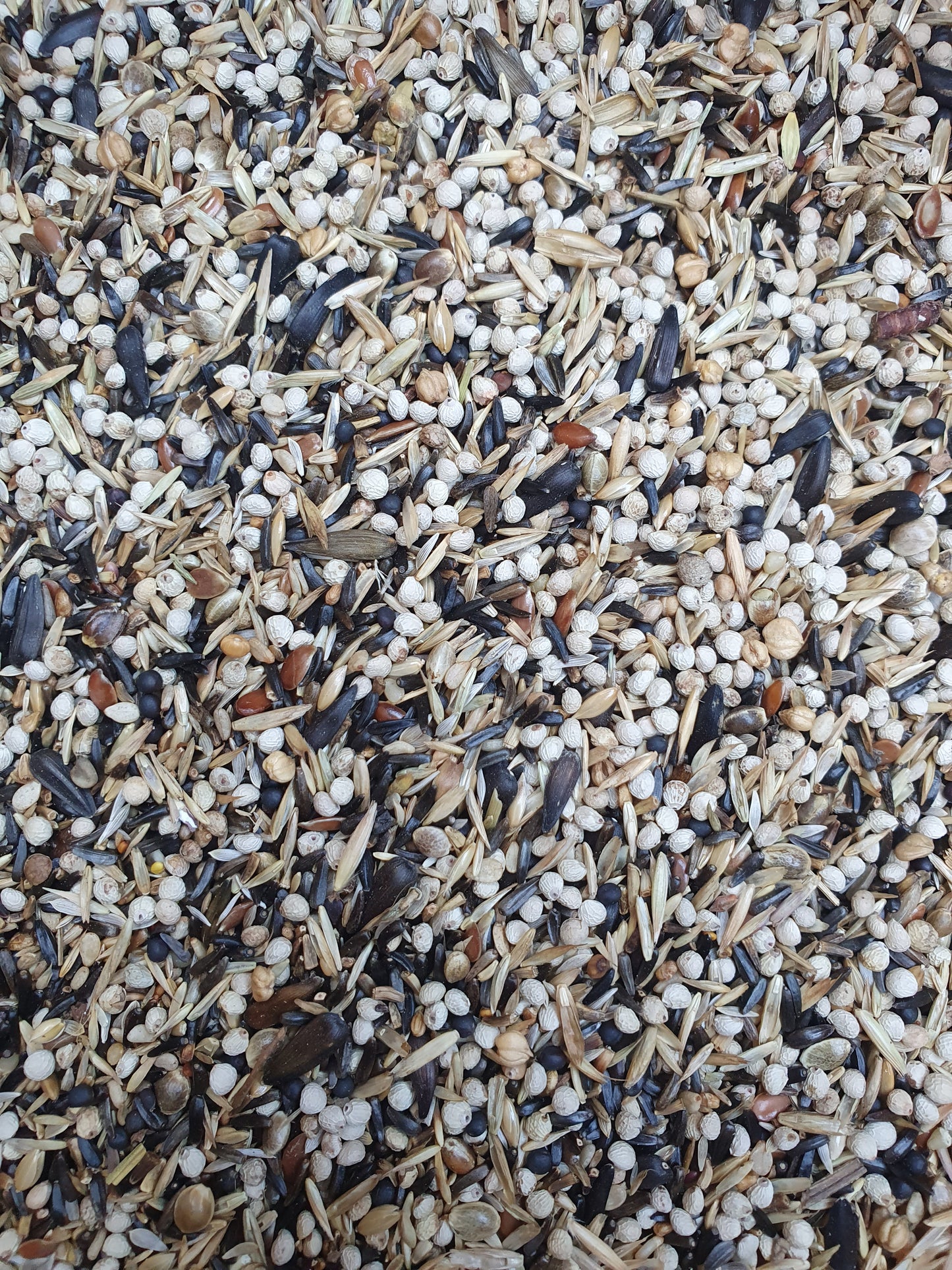 Europese en amerikaanse sijzen 15kg - hobbyfarm hoebregts