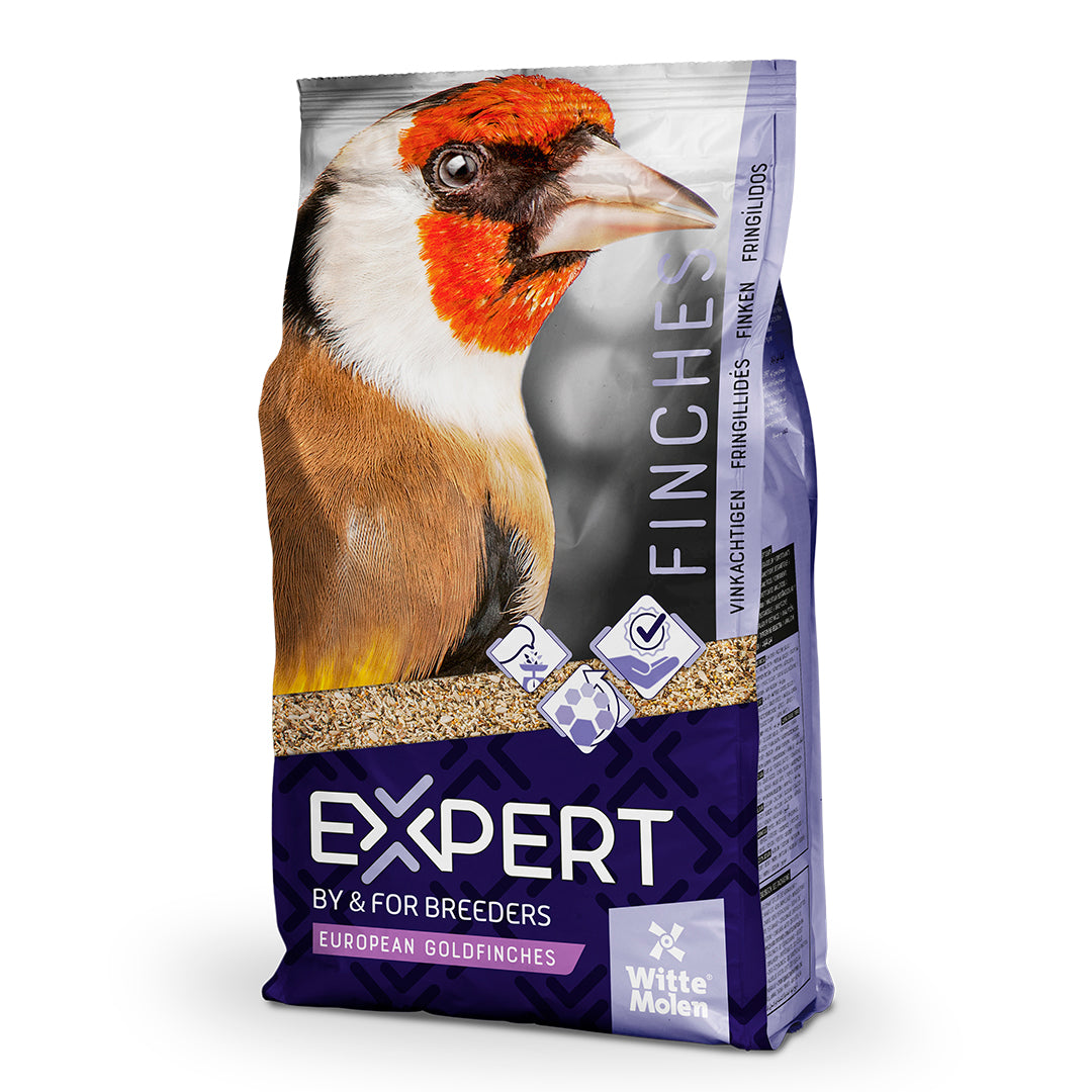 EXPERT Putters 2kg