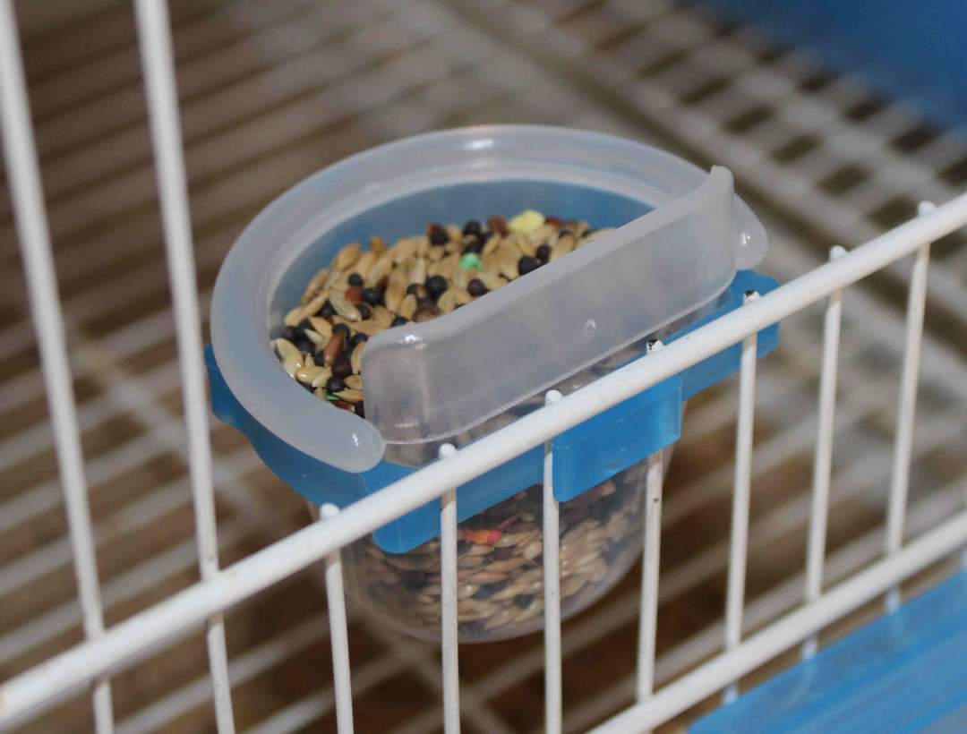 Shot feeder, moldes ave