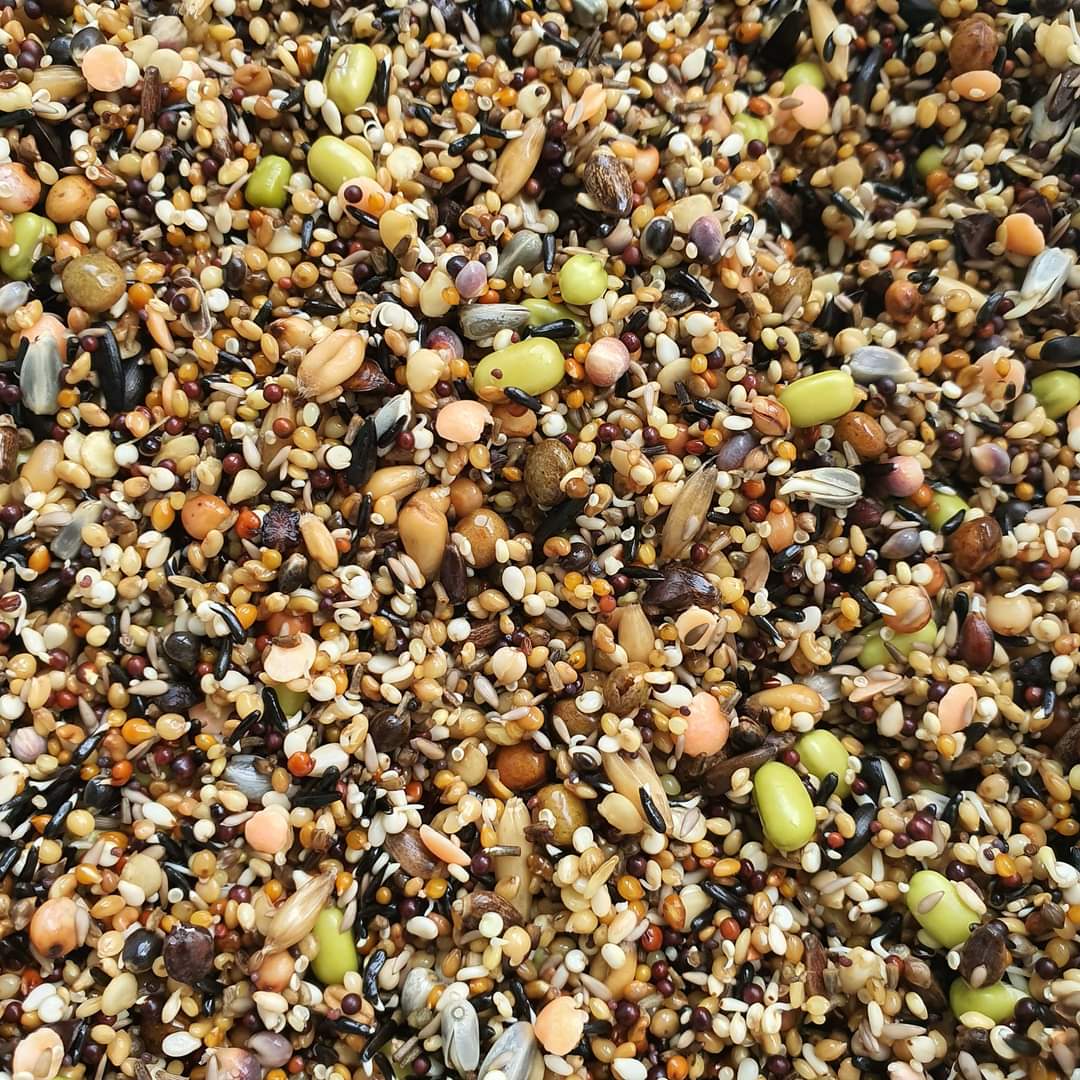 Kiemzaad super (41) mix 3kg