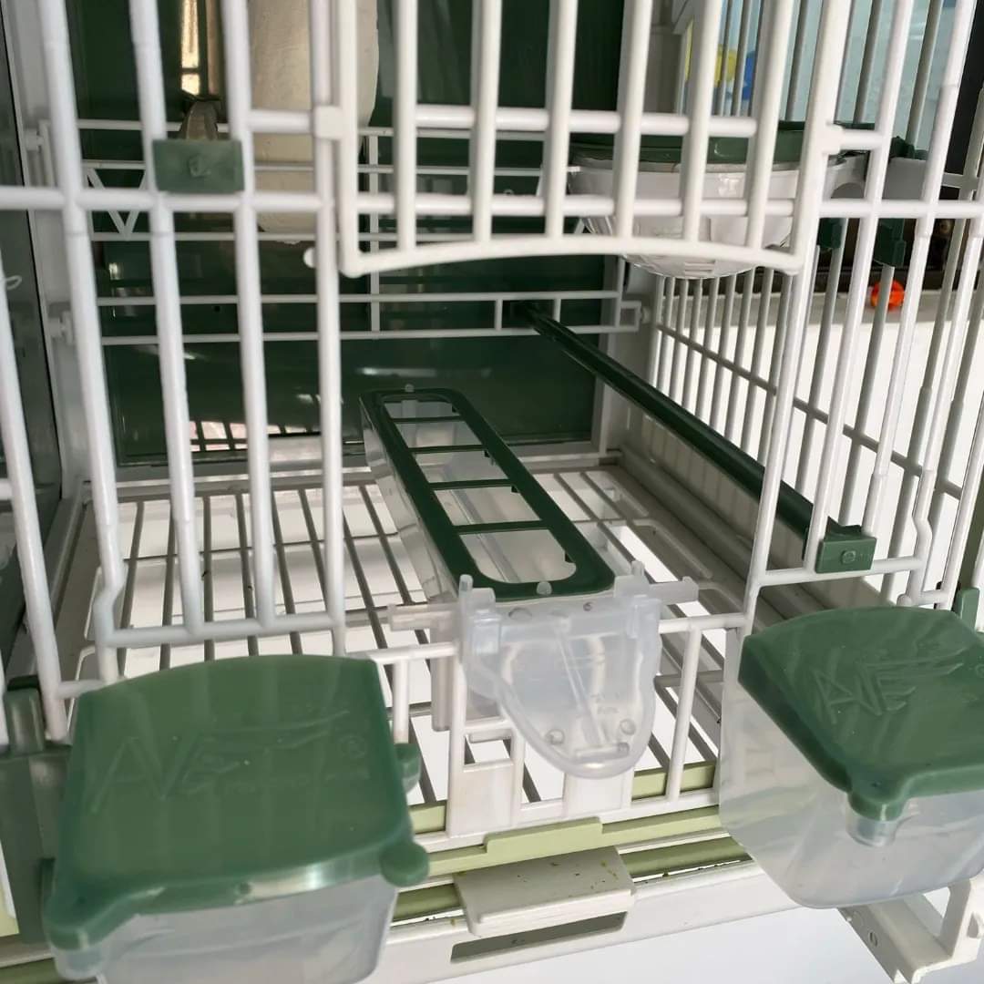 Apollo feeder groen, moldes ave