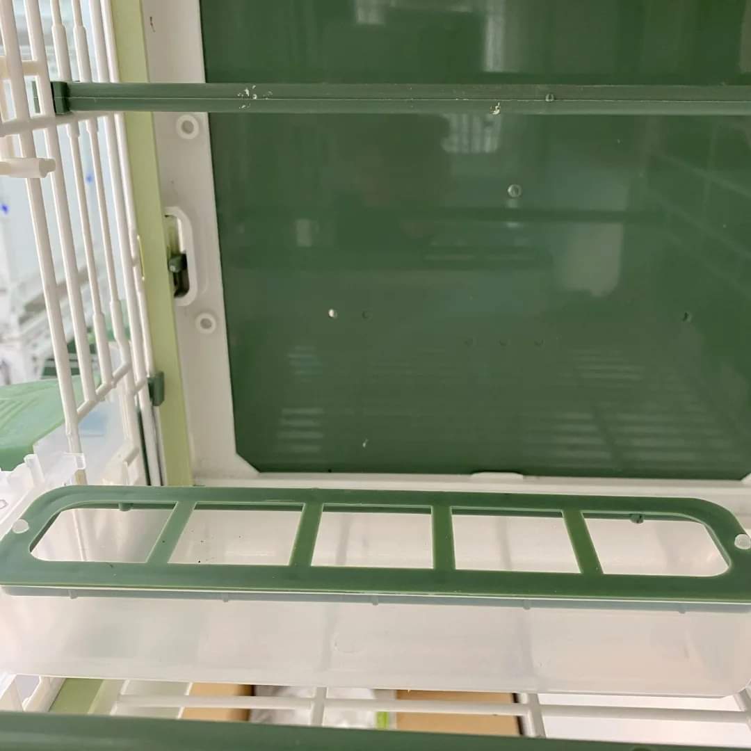 Apollo feeder groen, moldes ave