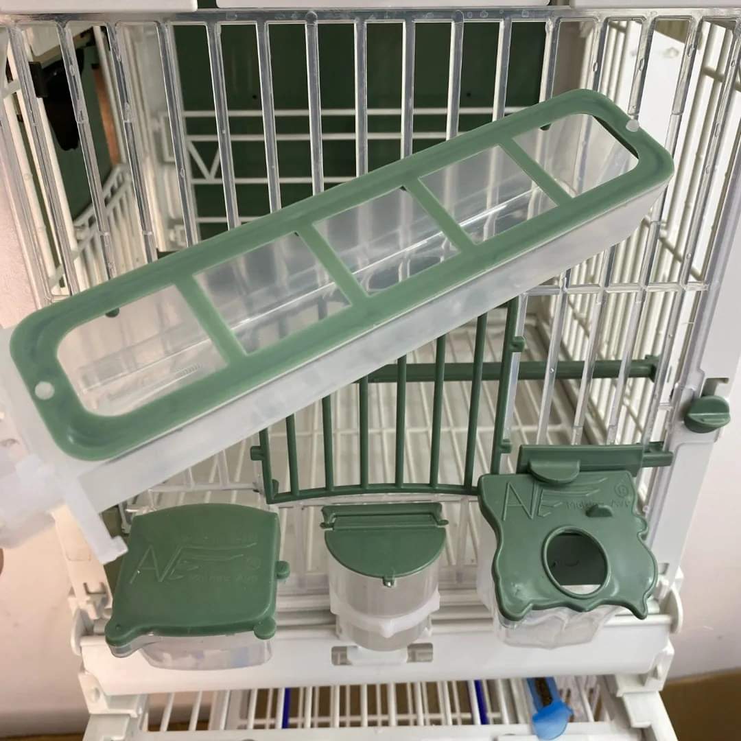 Apollo feeder groen, moldes ave