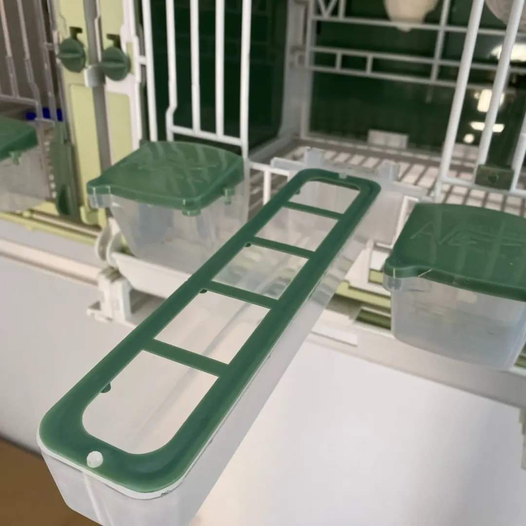 Apollo feeder groen, moldes ave