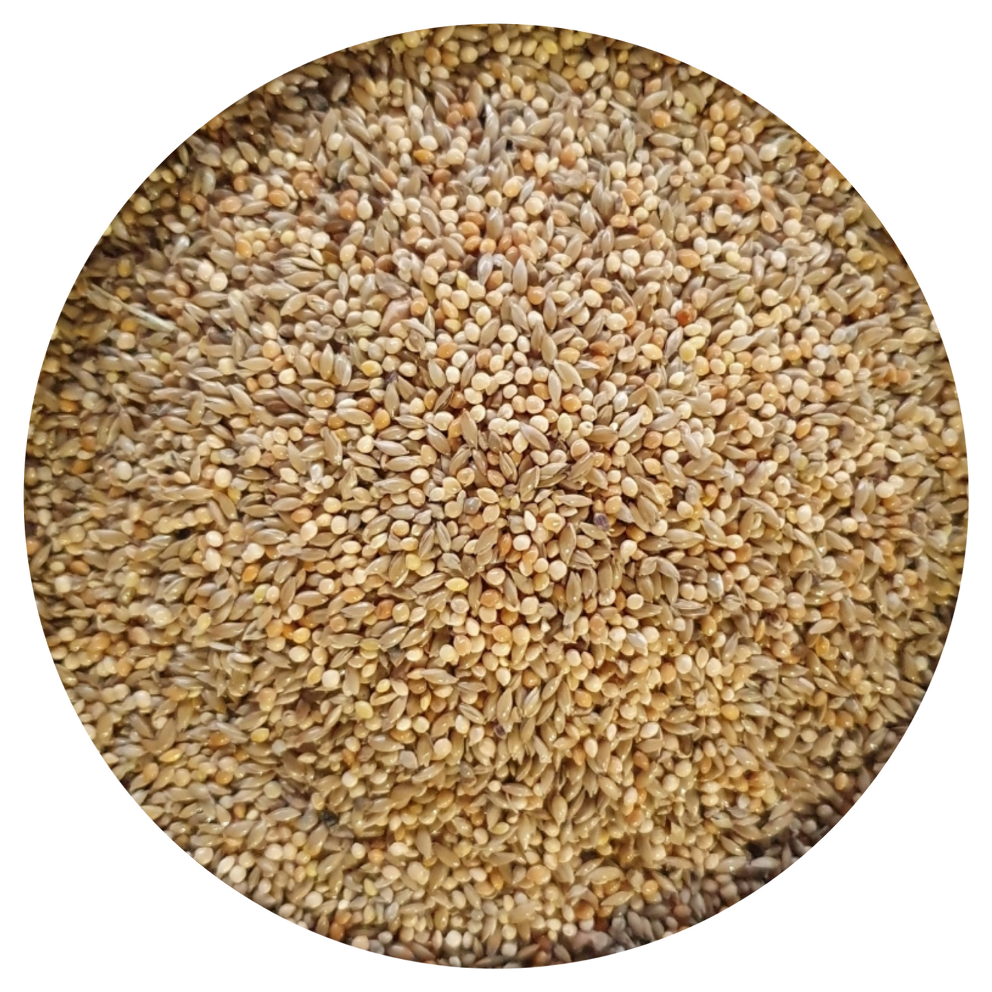 Exotische Vogels Michotte 5kg - Hobbyfarm Hoebregts