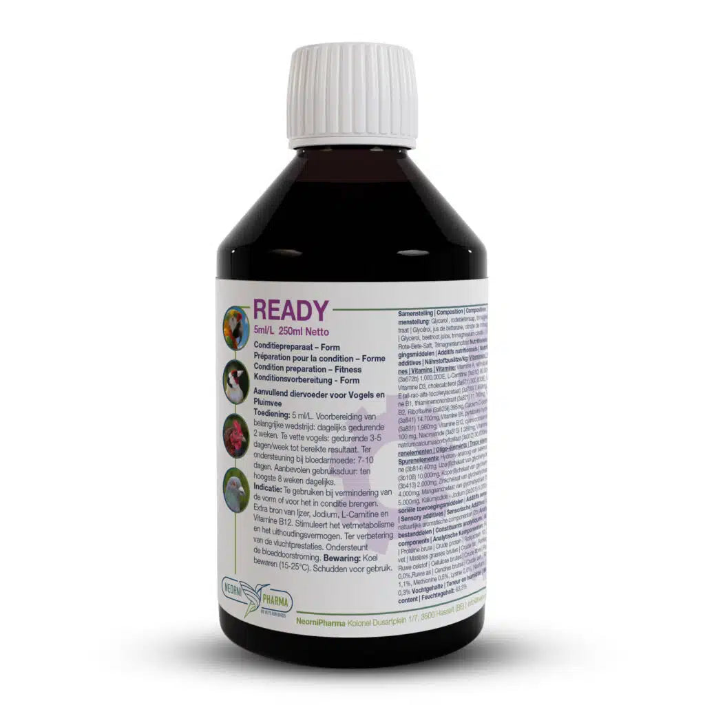 Ready 250ml - Neornipharma