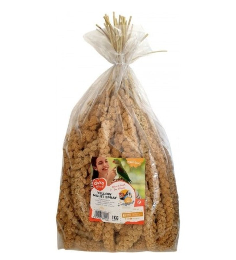 Trosgierst geel China doos 15kg