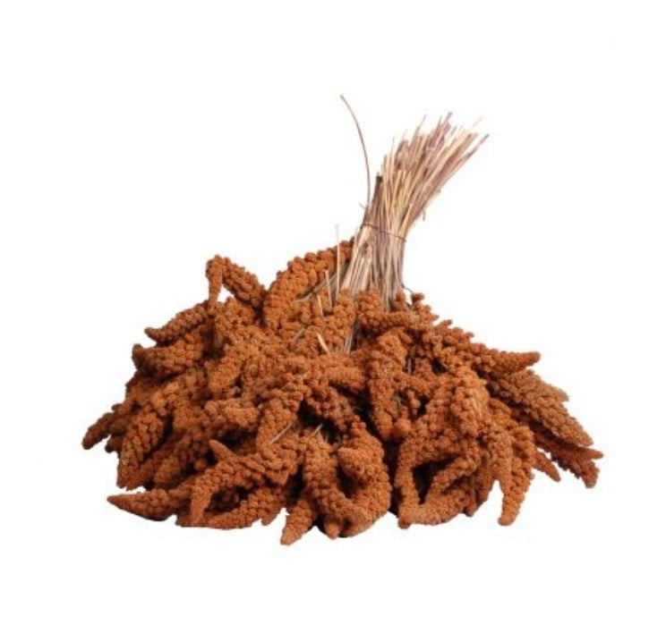 Trosgierst rood 1kg
