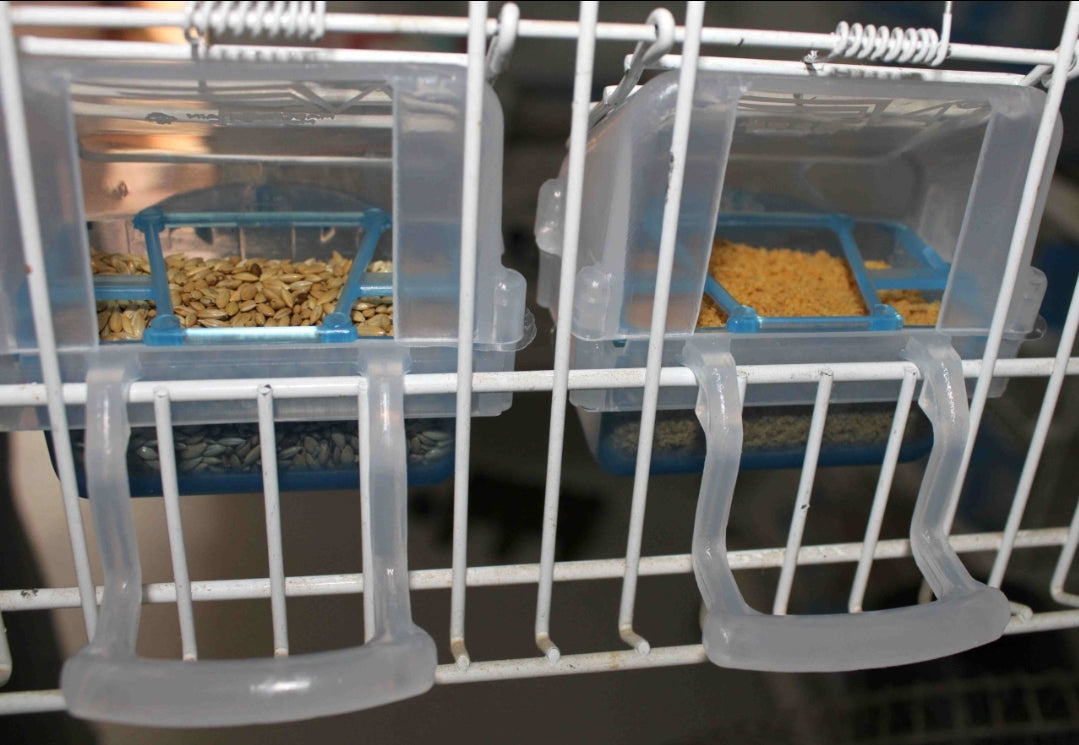 Feeder "lucia" GROEN met verwijderbare lade - moldes ave