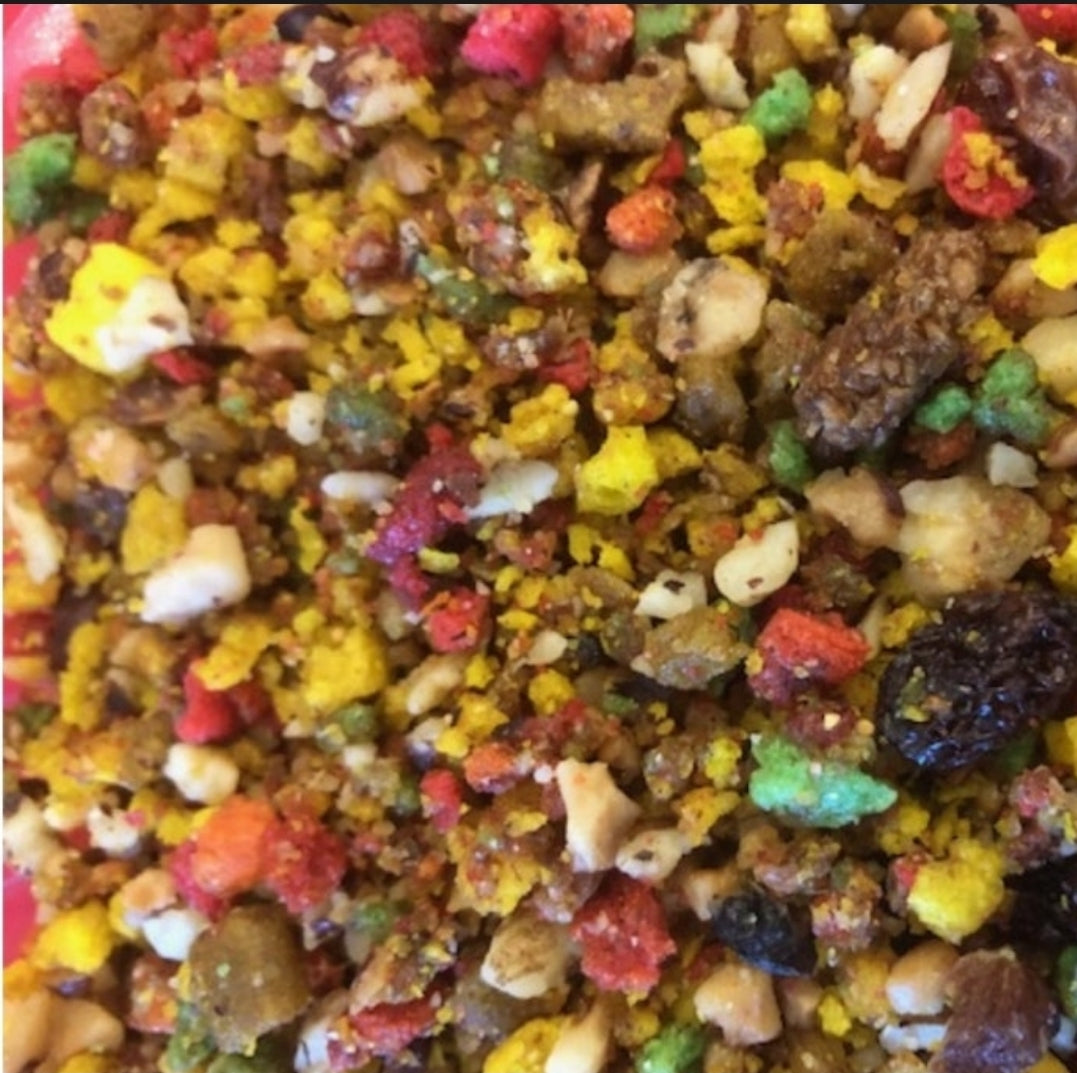 Bravo Fruit Mix Grof 5kg Bird-X