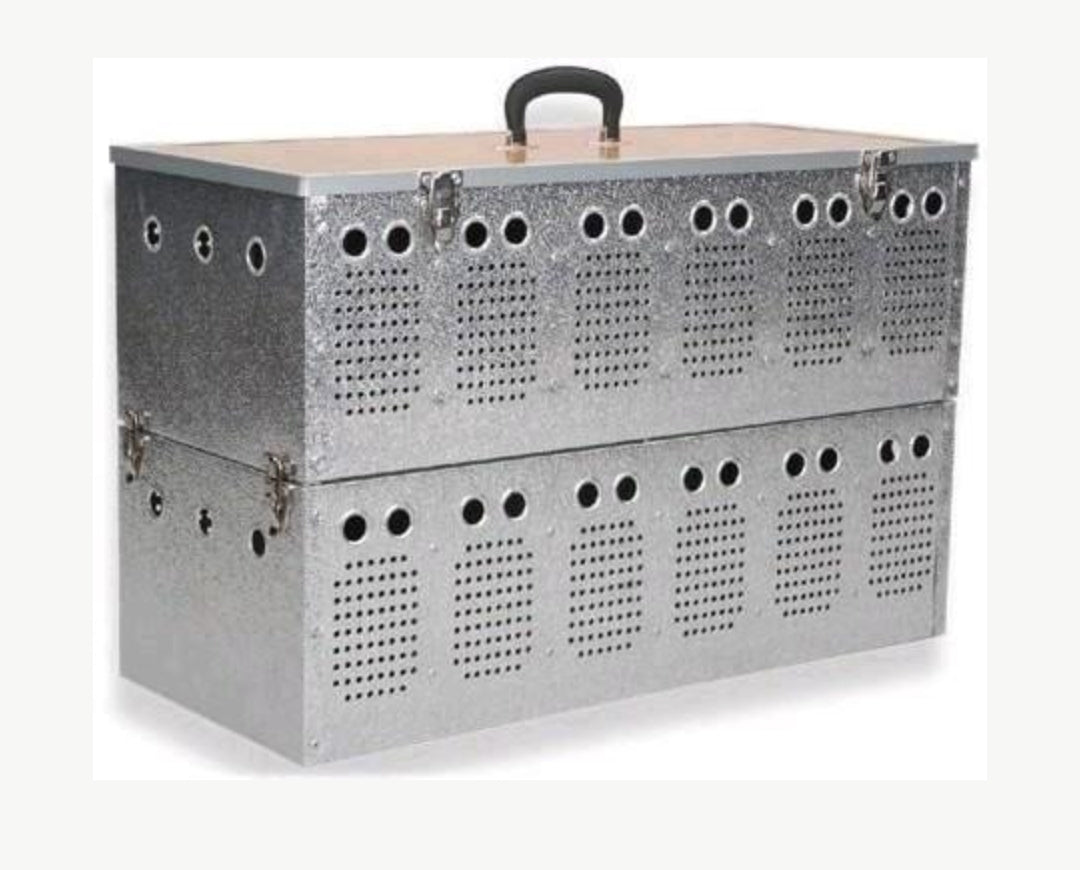 Aluminium Duivenmand 12 Dieren - Natural