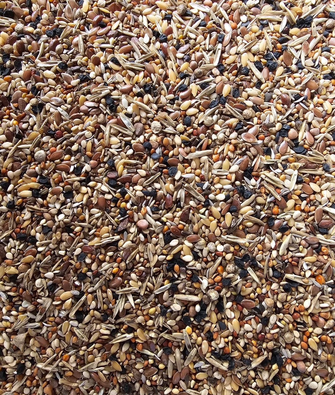 Gezondheidzaden 1kg ( wilde zaden ) - Versele Laga