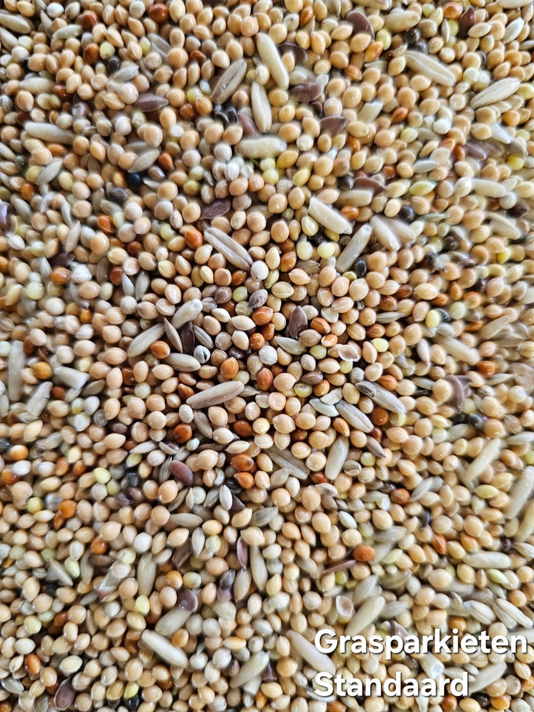 Grasparkieten Standaard - 1kg Uitgepond - Vogelvoer