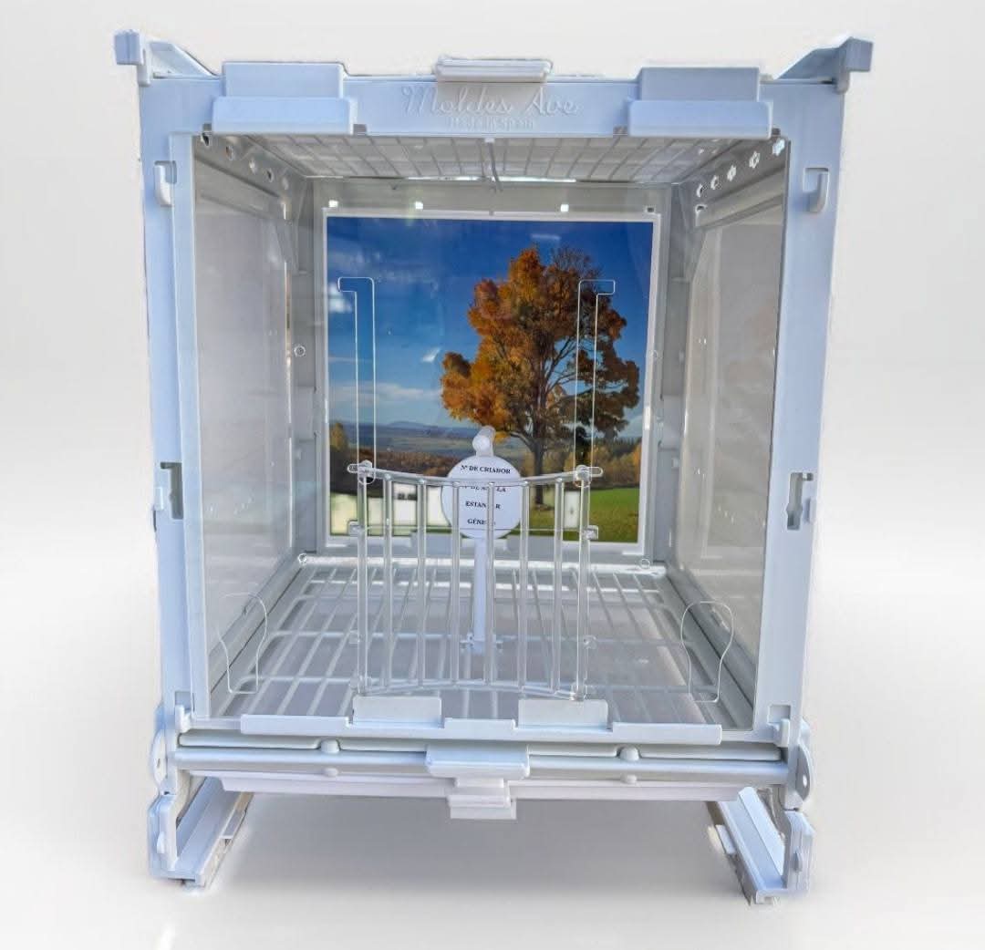 Fotokooi - Moldes Ave