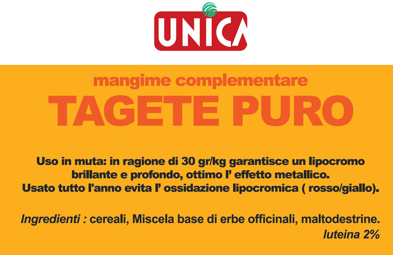 Tagete Puro ( zuivere goudsbloem ) 100 gram