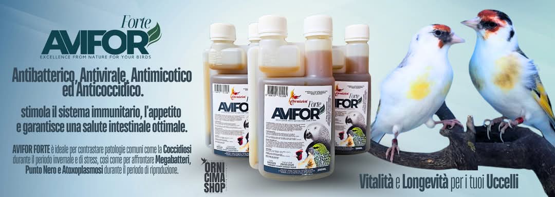 Avifor Forte Ornizìn De Technische Uitleg