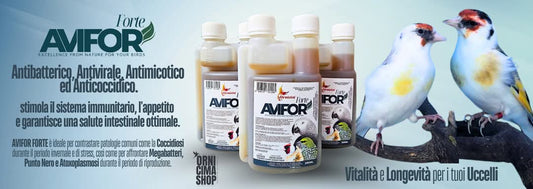 Avifor Forte Ornizìn De Technische Uitleg