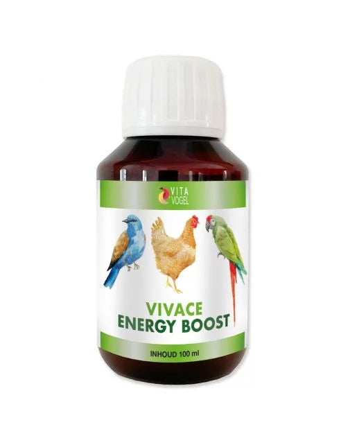 Vivace enery boost 100ml, vita vogel