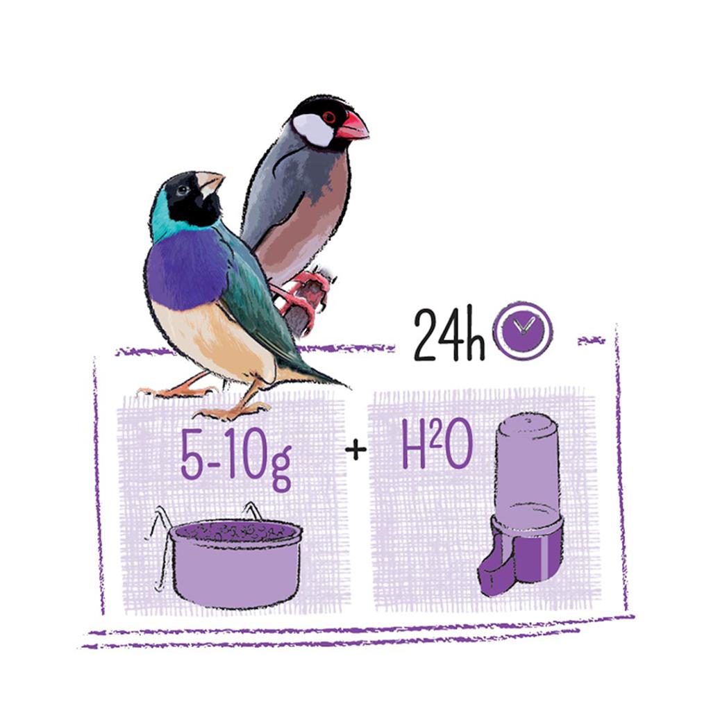 PUUR tropische vogels 2kg