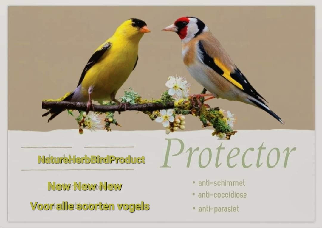 Protector 50ml - Herb Bird Products