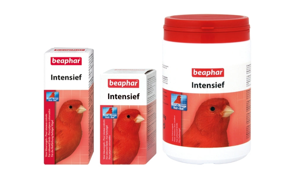 Intensief Rood 50gram