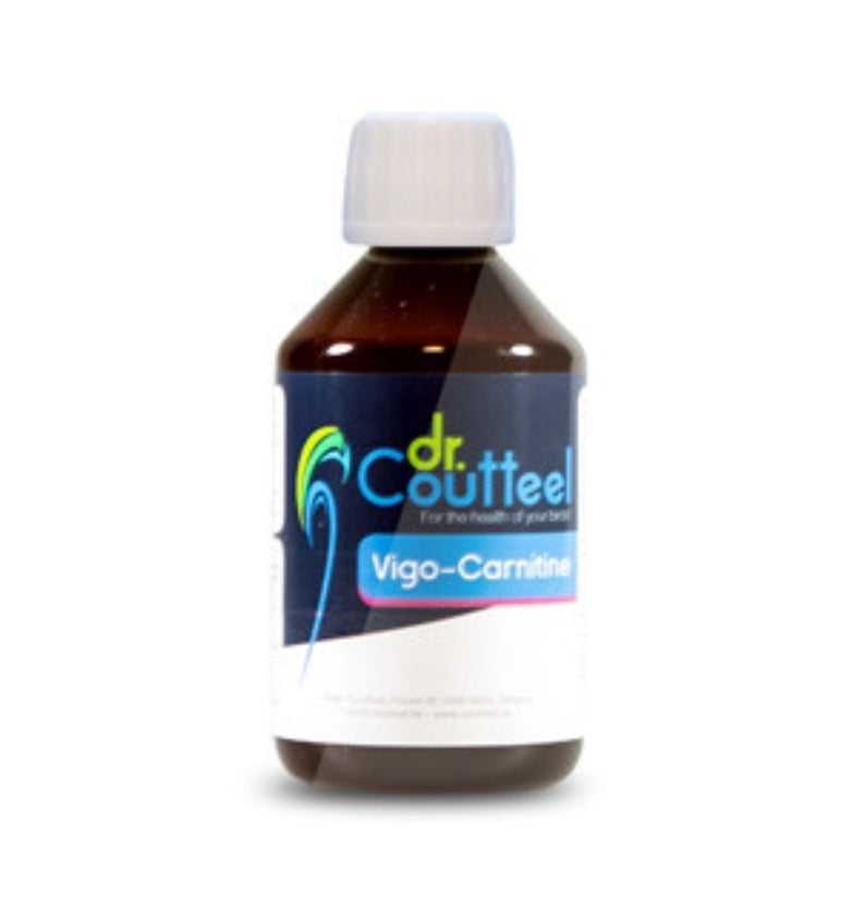 Vigo-Carnitine 250ml, (L-carnitine verrijkt met magnesium, choline, inositol