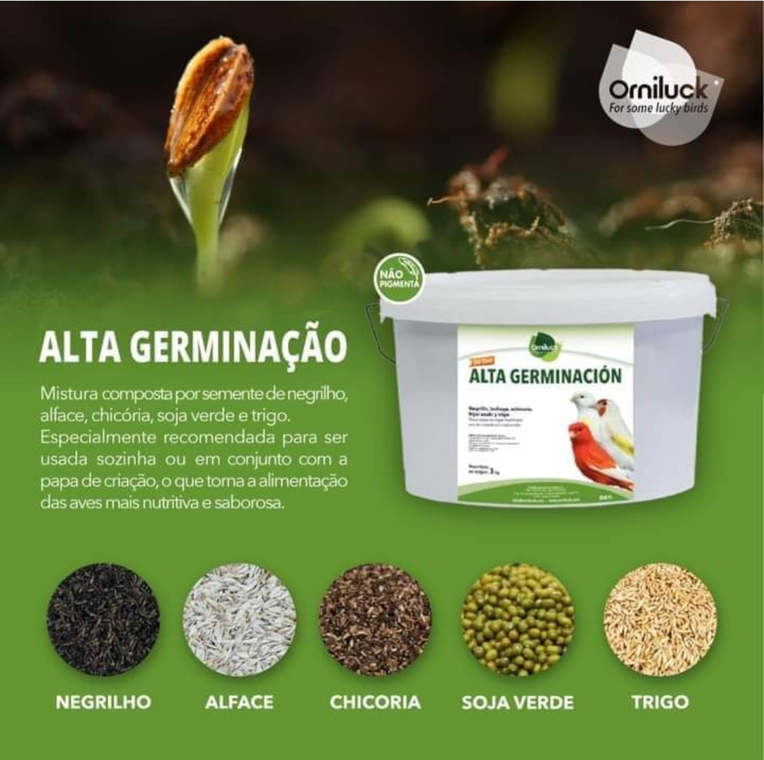 Alta Germinacion ( Kiemzaad ) 1kg - OrniLuck