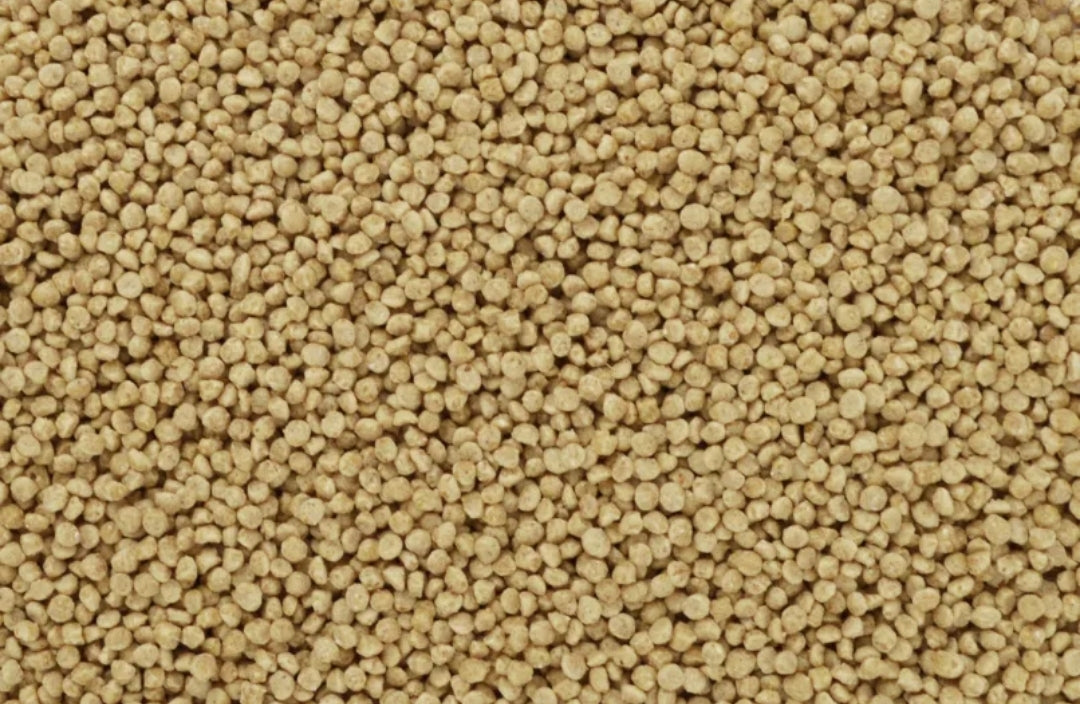 Bravo pearls pro 30% proteïne 900 gram
