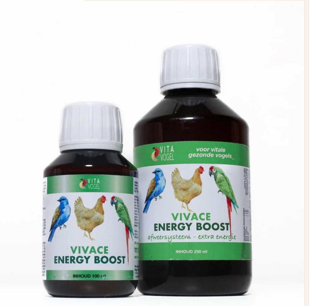 Vivace enery boost 250ml - Vita Vogel