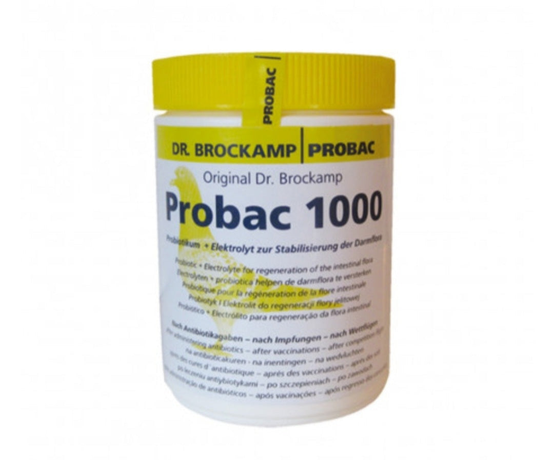Probac 1000 (500g), dr brockamp