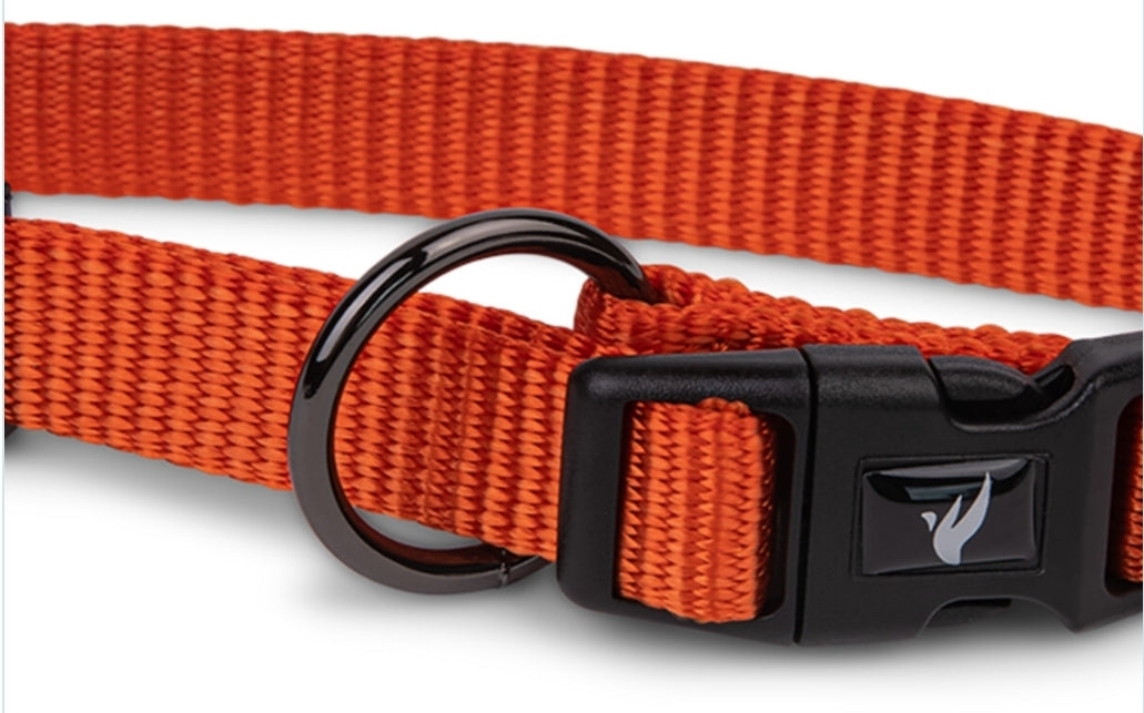 Halsband Classic Nylon Oranje 14-21cmx10mm XS