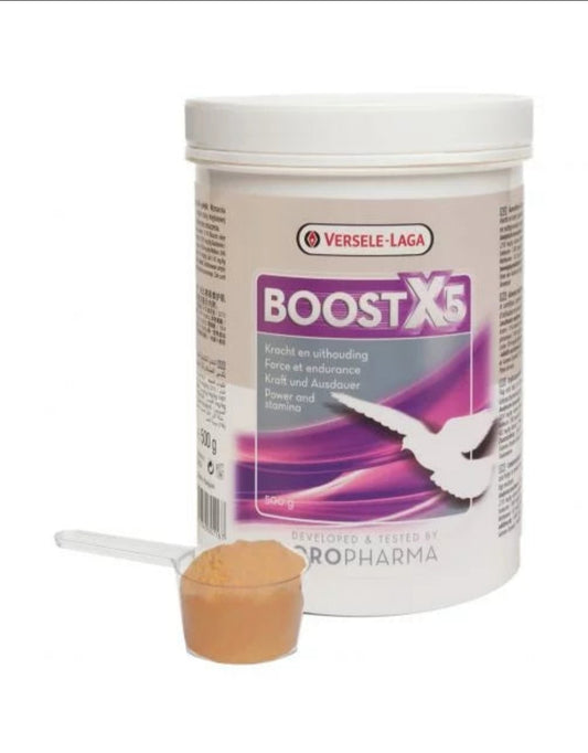 Boostx5 500 Gram - Oropharma