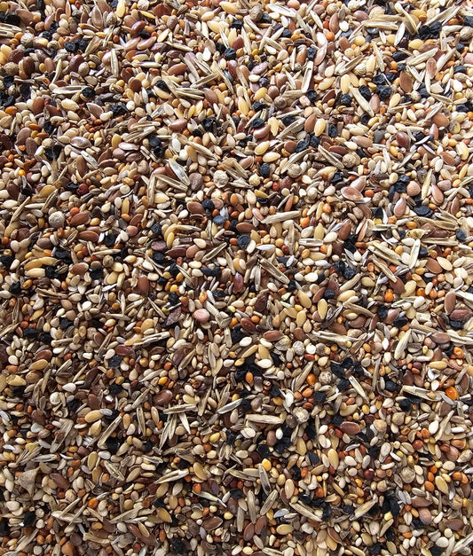 Gezondheidzaden 1kg ( wilde zaden ) - Versele Laga