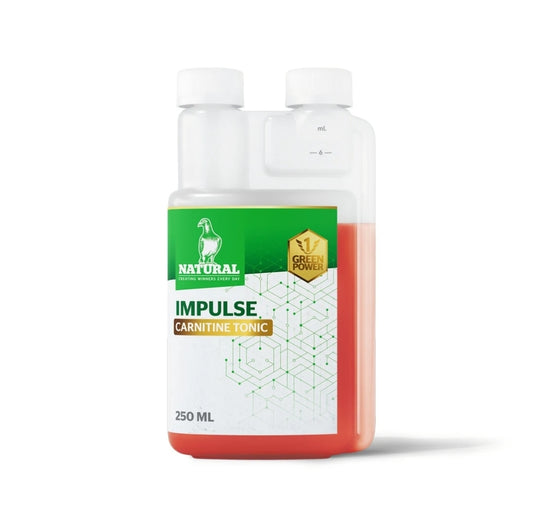 Green Power "Impulse" Carnitine Tonic 250ml Natural