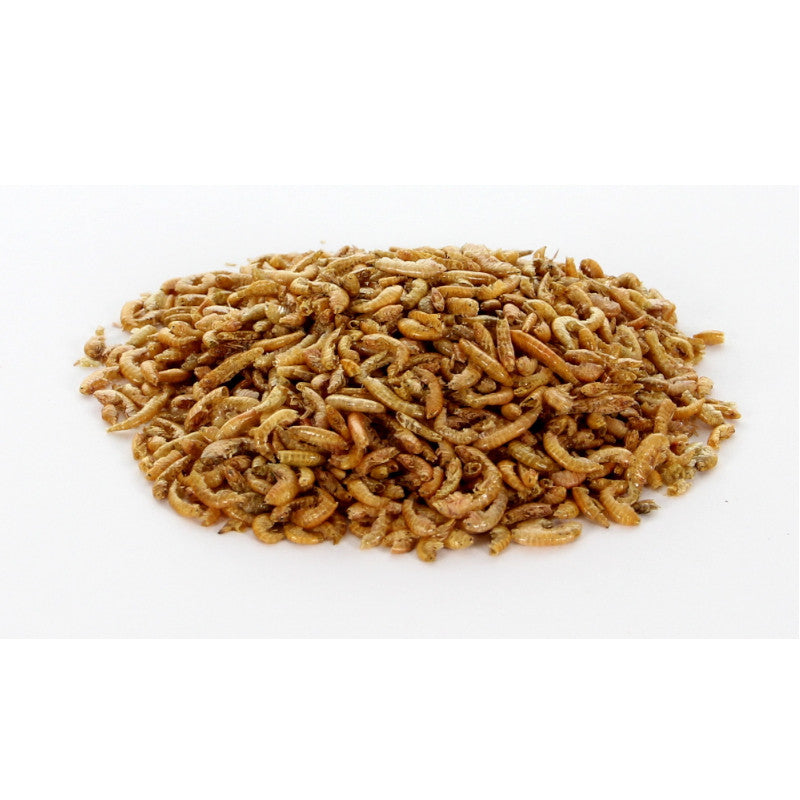 Gammarus 100 gram – Minoe and friends online webshop
