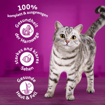 Whiskas aduld 1+ kip 1,9kg