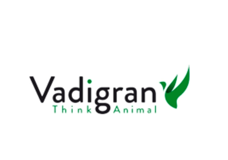 Kruidenhooi Wortel 500 gram - Herbal Hay Vadigran