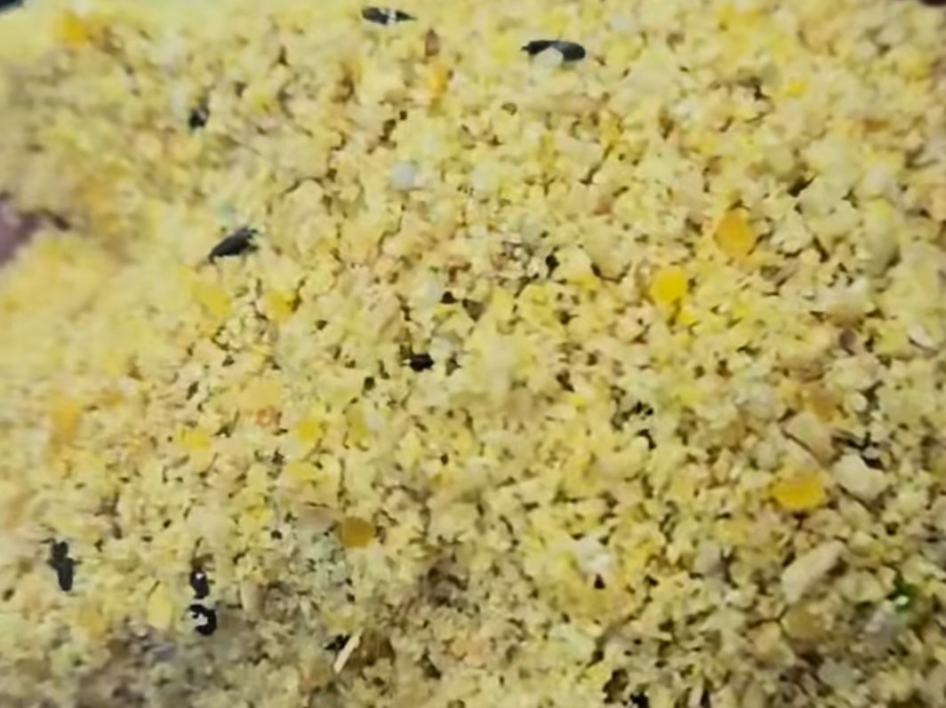 Canari Supreme 4kg Ornizìn