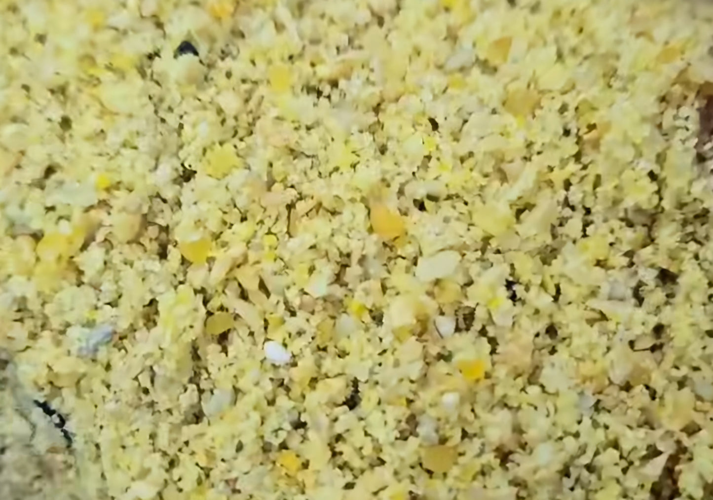 Canari Supreme 4kg Ornizìn