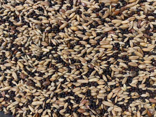 Kanarie Standaard - 5kg uitgepond - Vogelvoer