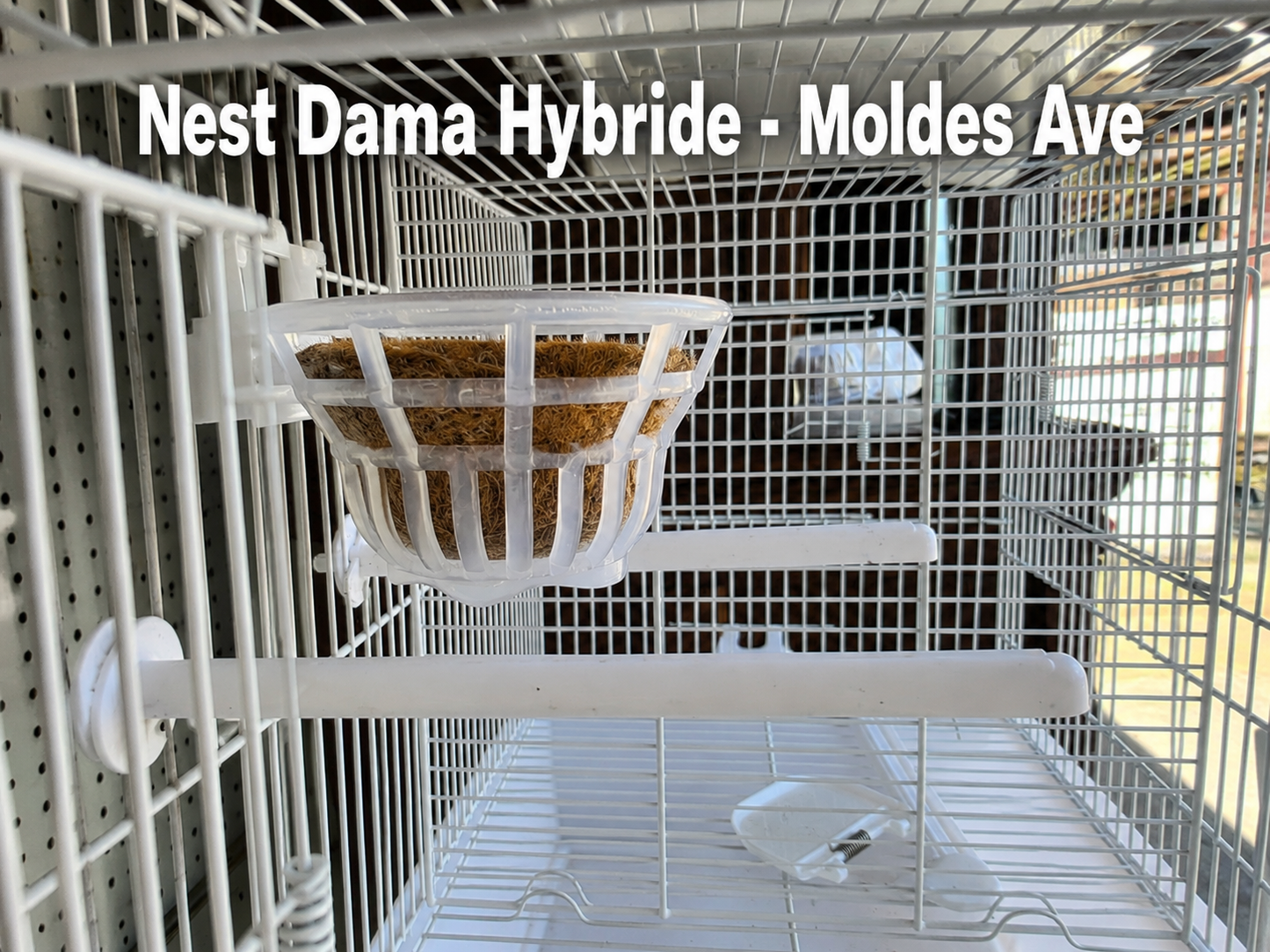 Nest Dama Hybride ( nest matje inbegrepen ) Moldes Ave
