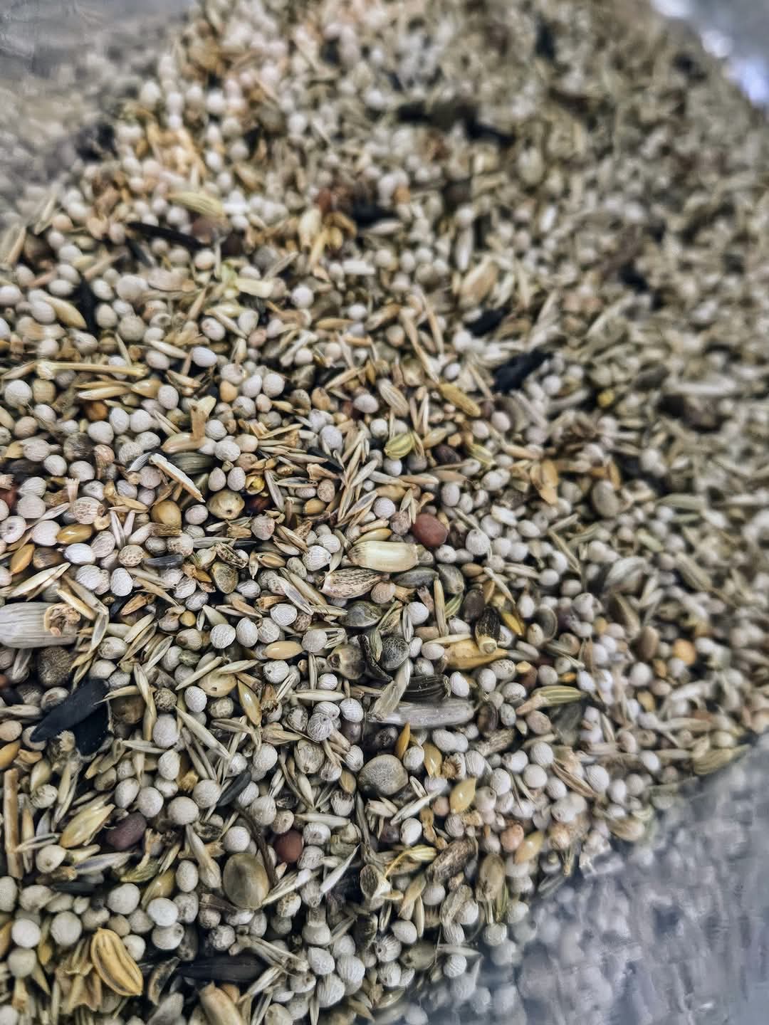 EXCELLENT MIX Frigolis 1kg - Speciale Zaden ( ¹ ) Ornizin