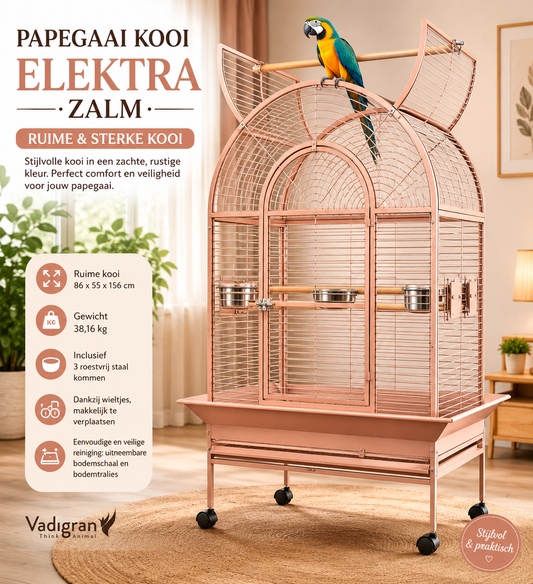 Papegaai Kooi Eletra Zalm, Vadigran