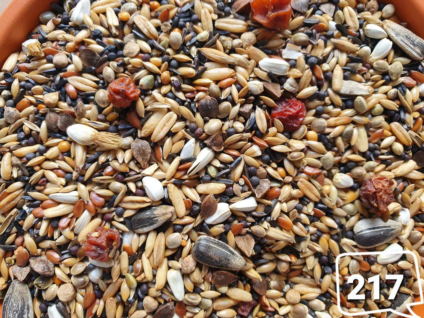 Groen & Goudvinken 20kg - Hobbyfarm Hoebregts