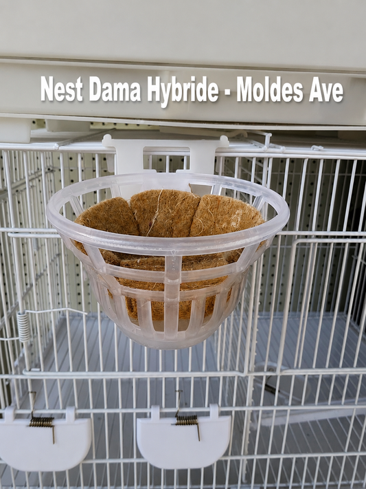 Nest Dama Hybride ( nest matje inbegrepen ) Moldes Ave