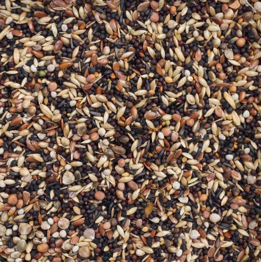 99 - Europese Vogels Basis 5kg - Deli nature