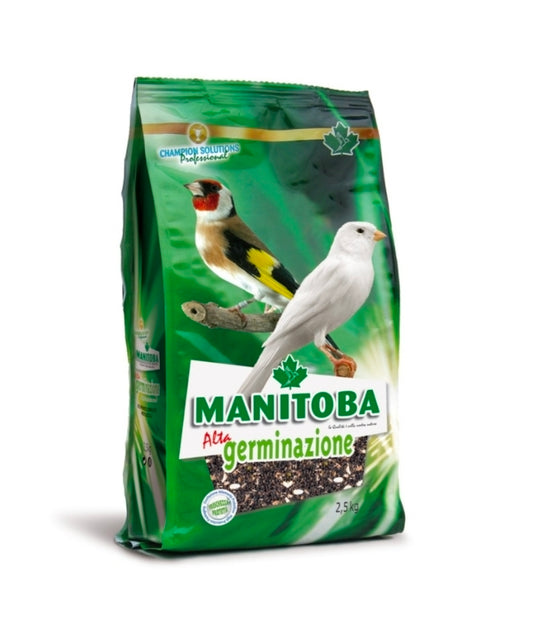 Manitoba kiemzaad Alta Germinazione 2.5kg
